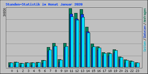 Stunden-Statistik im Monat Januar 2020