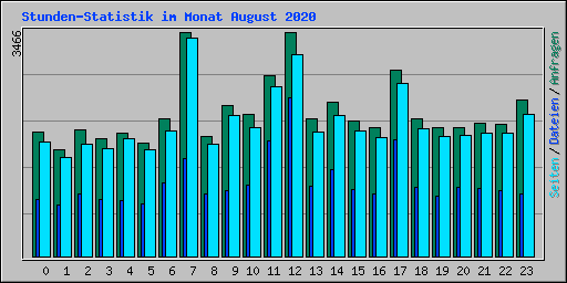 Stunden-Statistik im Monat August 2020