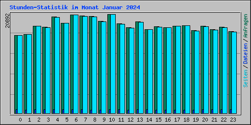 Stunden-Statistik im Monat Januar 2024